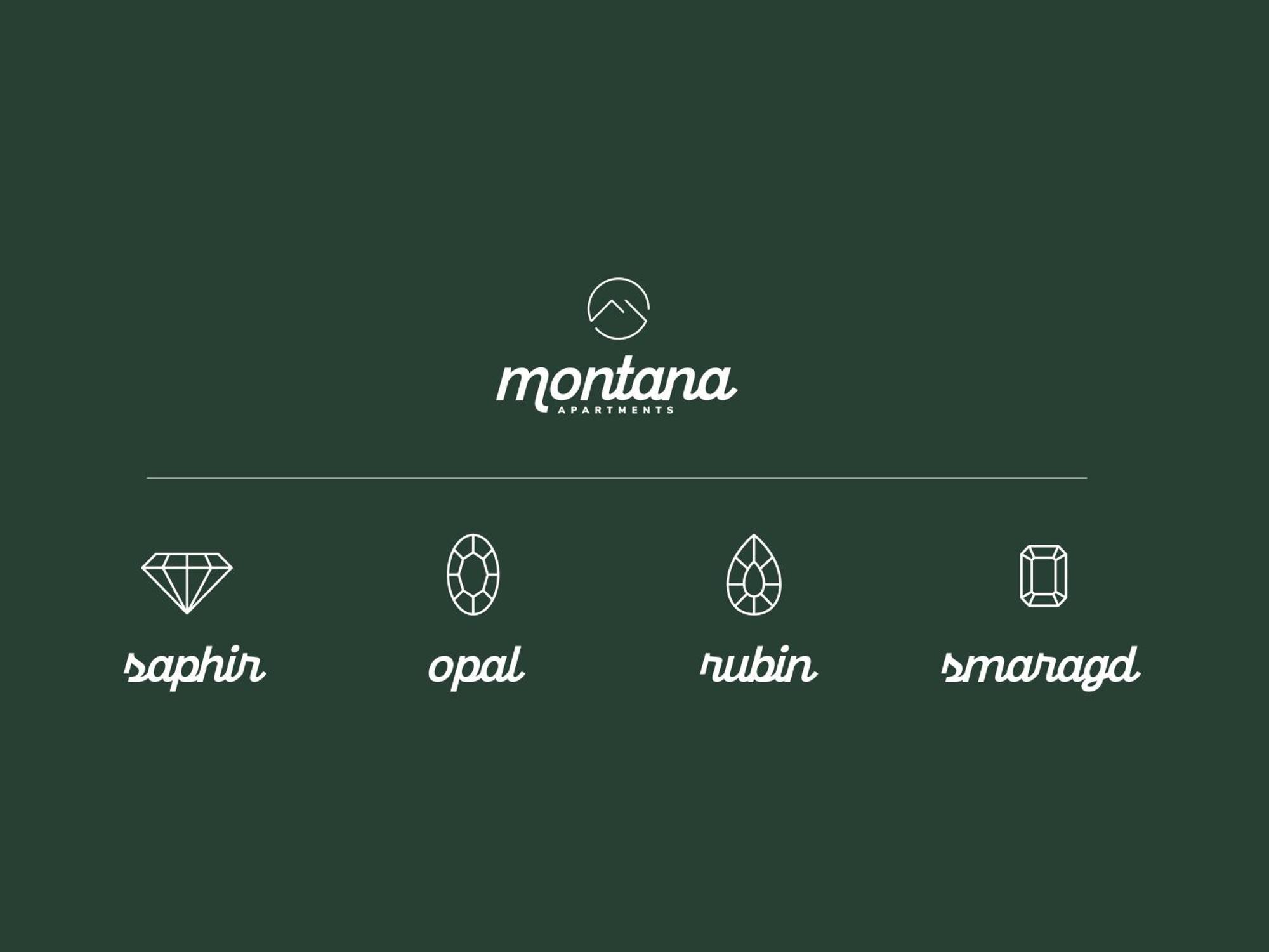 Montana Apartments Mayrhofen Εξωτερικό φωτογραφία